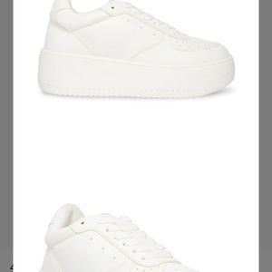 Steve Madden White Sneakers 7.5